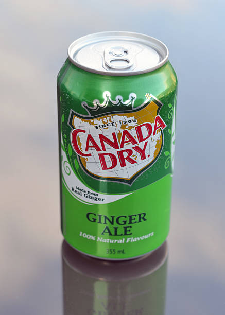 Canada Dry 355Ml