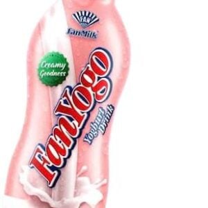 Fanyogo Yoghurt Drink 300Ml