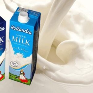 Hollandia Long Life Milk 1L