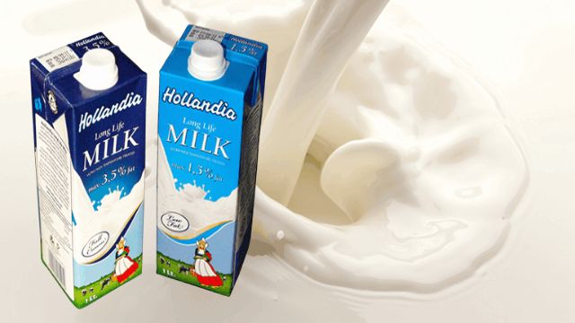 Hollandia Long Life Milk 1L