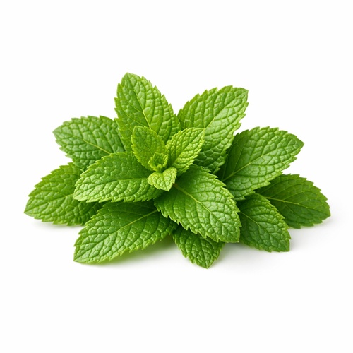 Mint Leaves