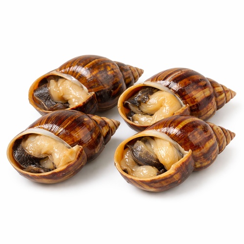 Snails