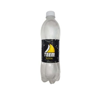 Teem Soda Water 50Cl